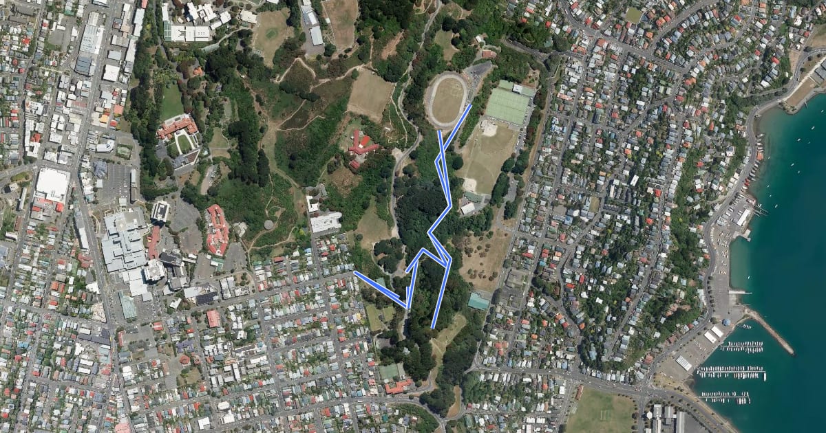 Маршрут Newtown to Hataitai Walkway на спутниковом снимке