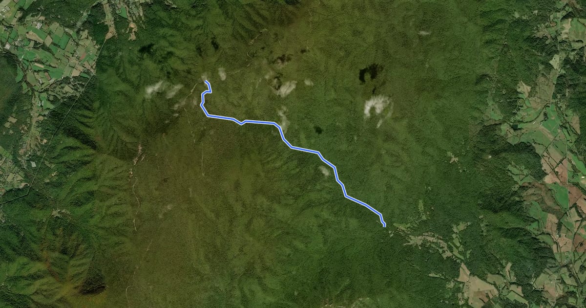 Маршрут Nicholson Hollow Trail на спутниковом снимке