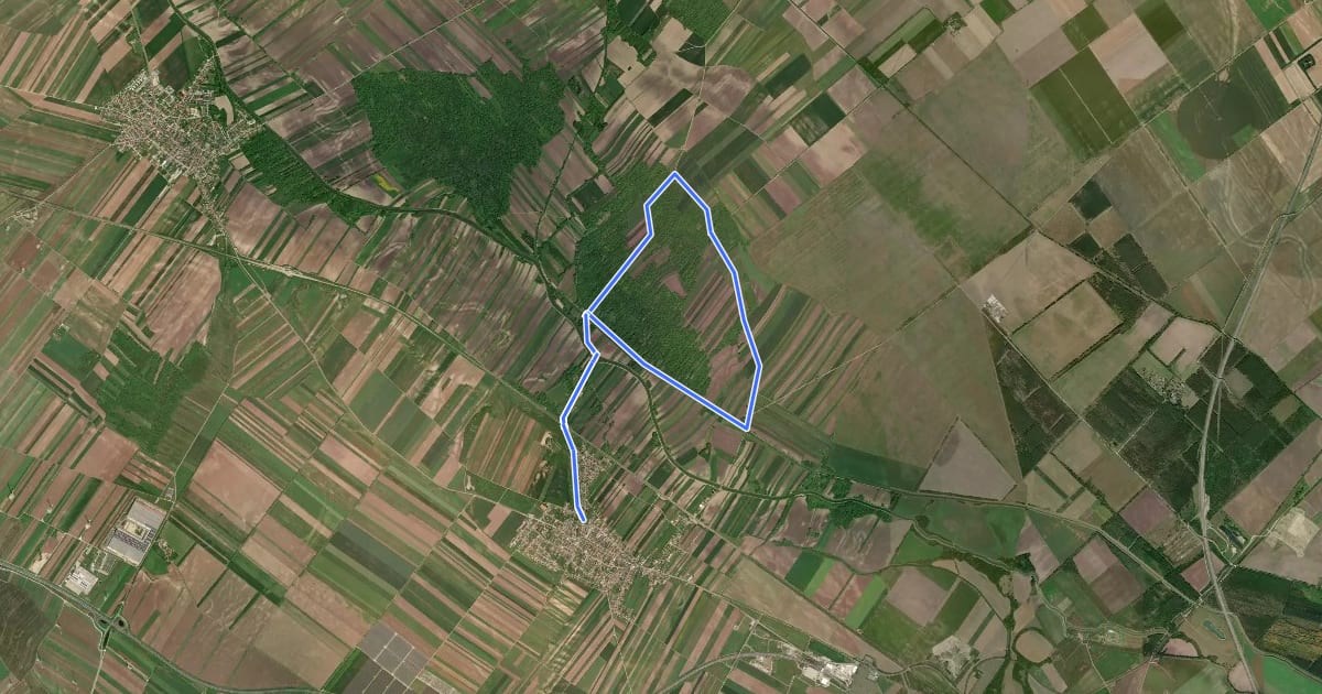 Маршрут Nickelsdorfer Rad-, Lauf- und Wanderstrecke L6 на спутниковом снимке