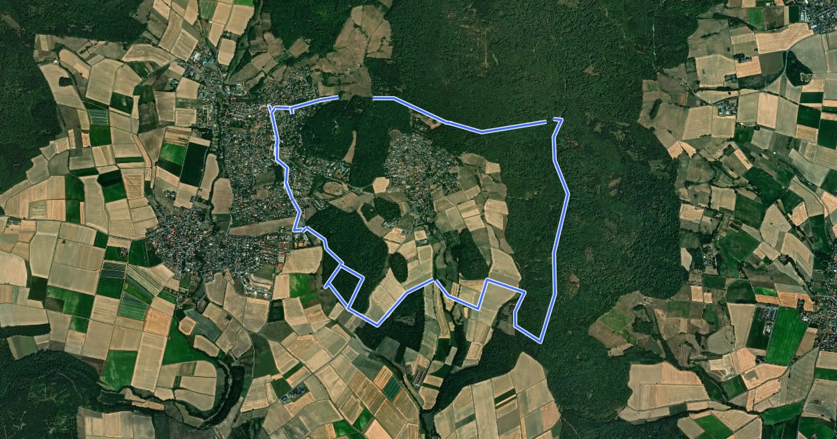 Маршрут Niedenstein, N2 - Langenbergweg на спутниковом снимке