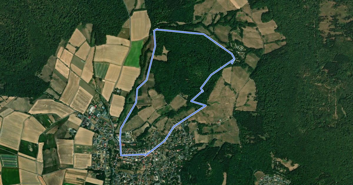 Маршрут Niedenstein, N3 - Sengelsberg на спутниковом снимке