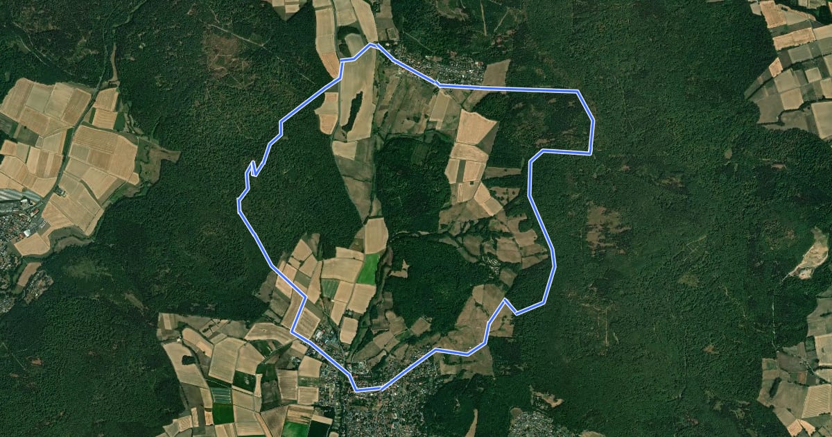 Маршрут Niedenstein, N5 - Rundweg zur Ruine Falkenstein на спутниковом снимке