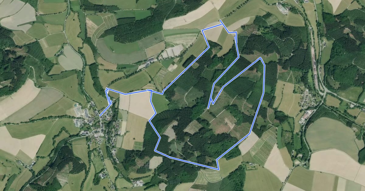 Маршрут Niederberndorf Rundwanderweg NB2 на спутниковом снимке