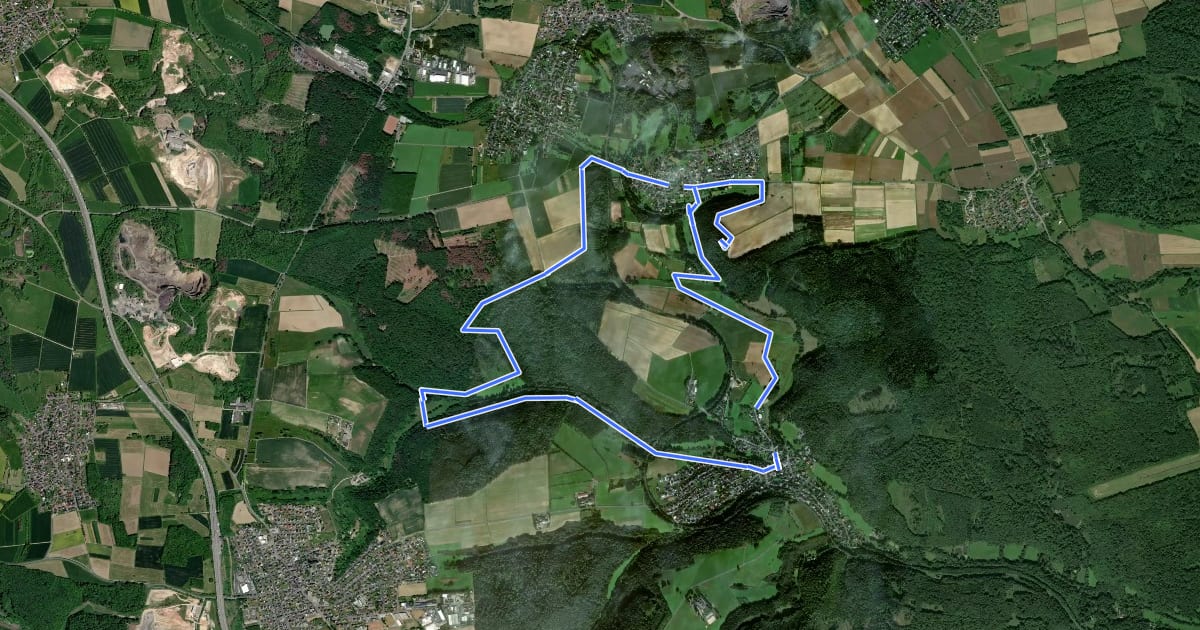 Маршрут Niedererbacher Wanderweg 1 на спутниковом снимке