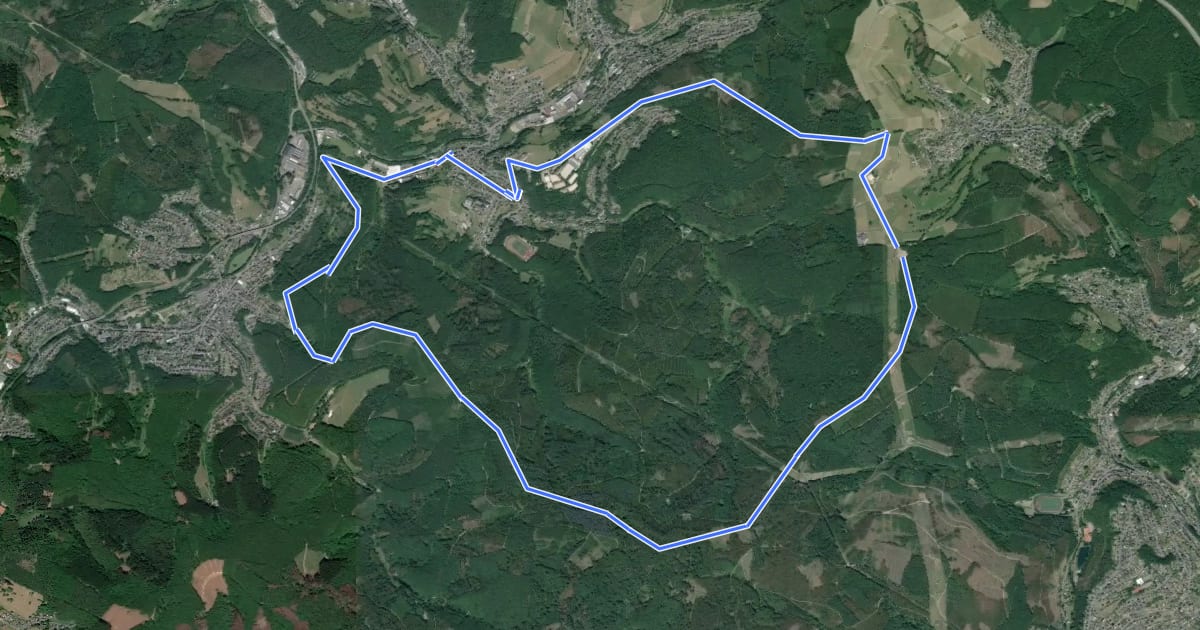 Маршрут Niederfischbach Rundweg N13 на спутниковом снимке