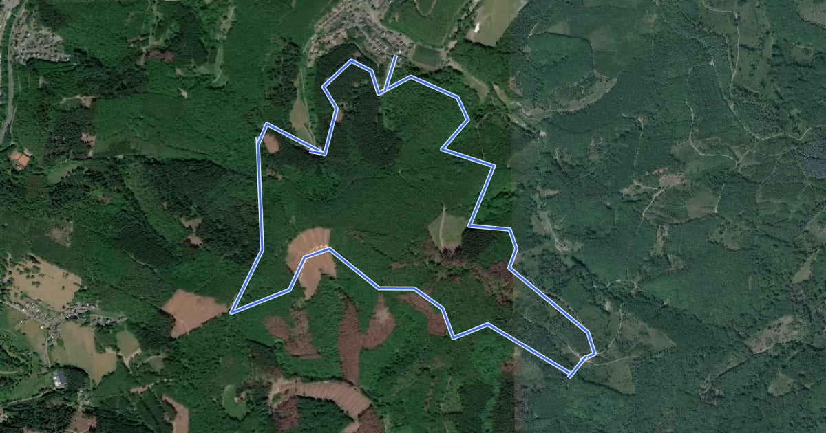 Маршрут Niederfischbach Rundweg N14 на спутниковом снимке