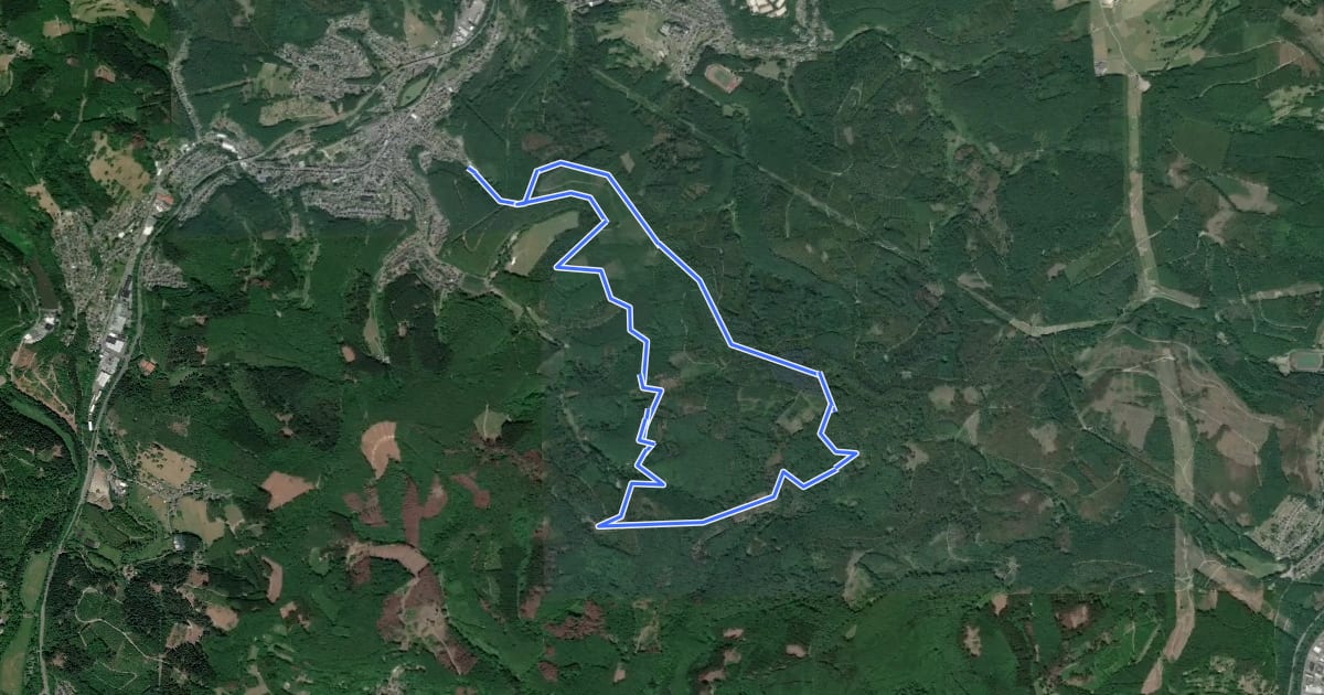 Маршрут Niederfischbach Rundweg N15 на спутниковом снимке