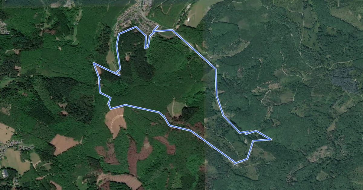 Маршрут Niederfischbach Rundweg N2 на спутниковом снимке