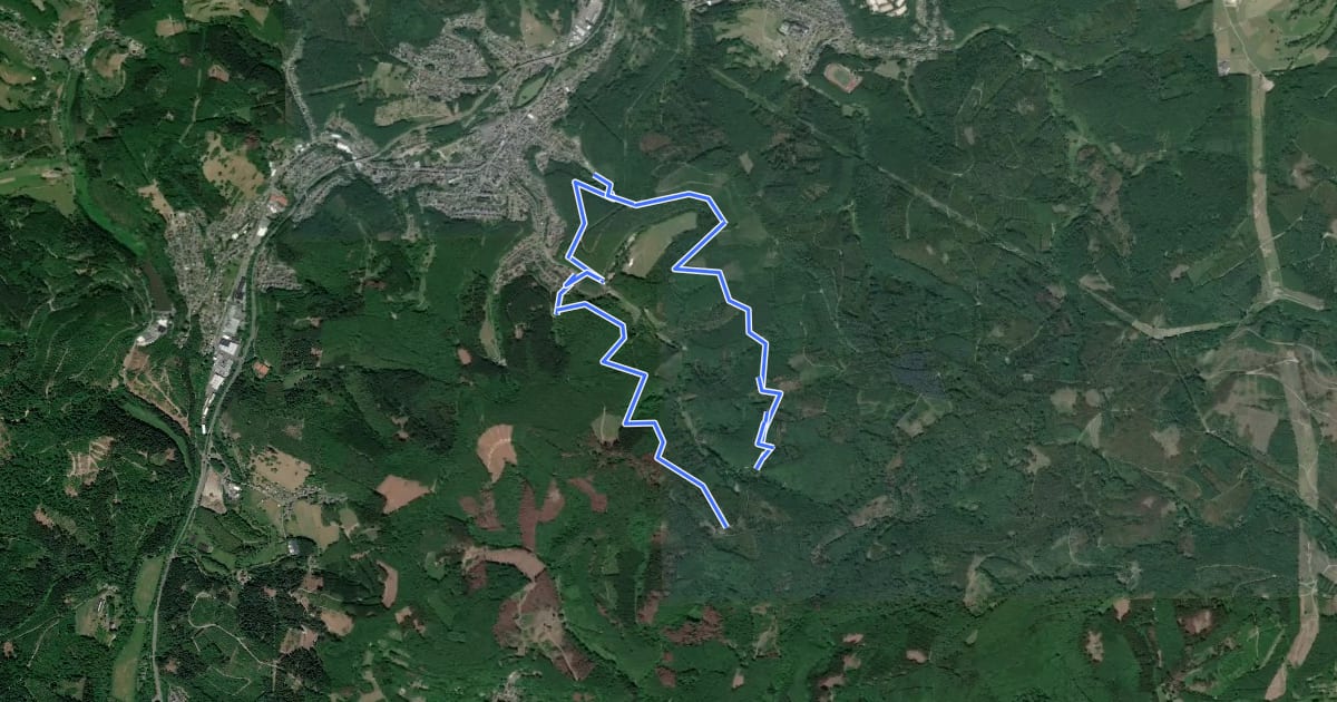 Маршрут Niederfischbach Rundweg N6 на спутниковом снимке