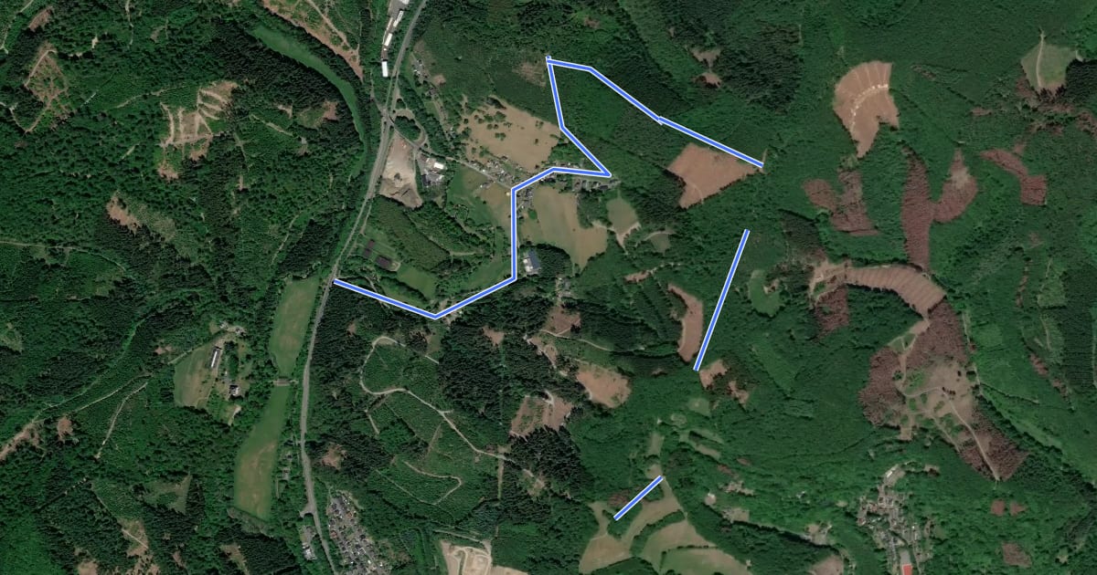 Маршрут Niederfischbach Rundweg N8 на спутниковом снимке