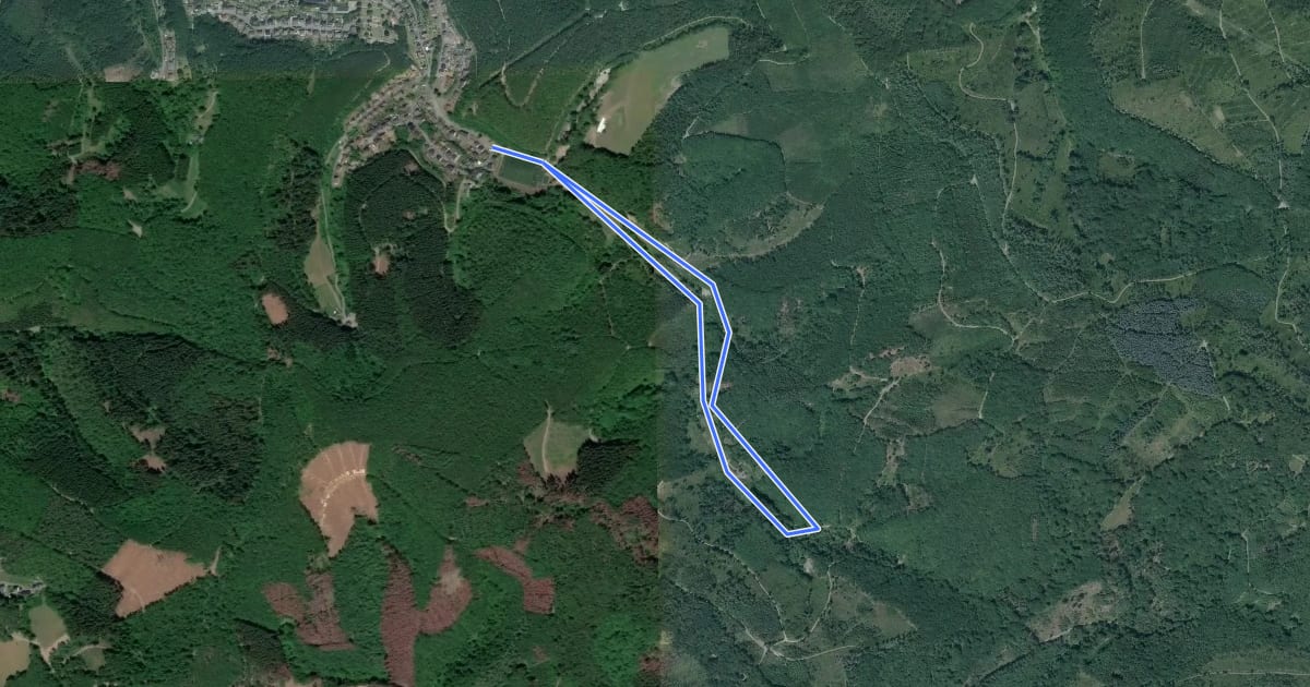 Маршрут Niederfischbach Rundweg N9 на спутниковом снимке