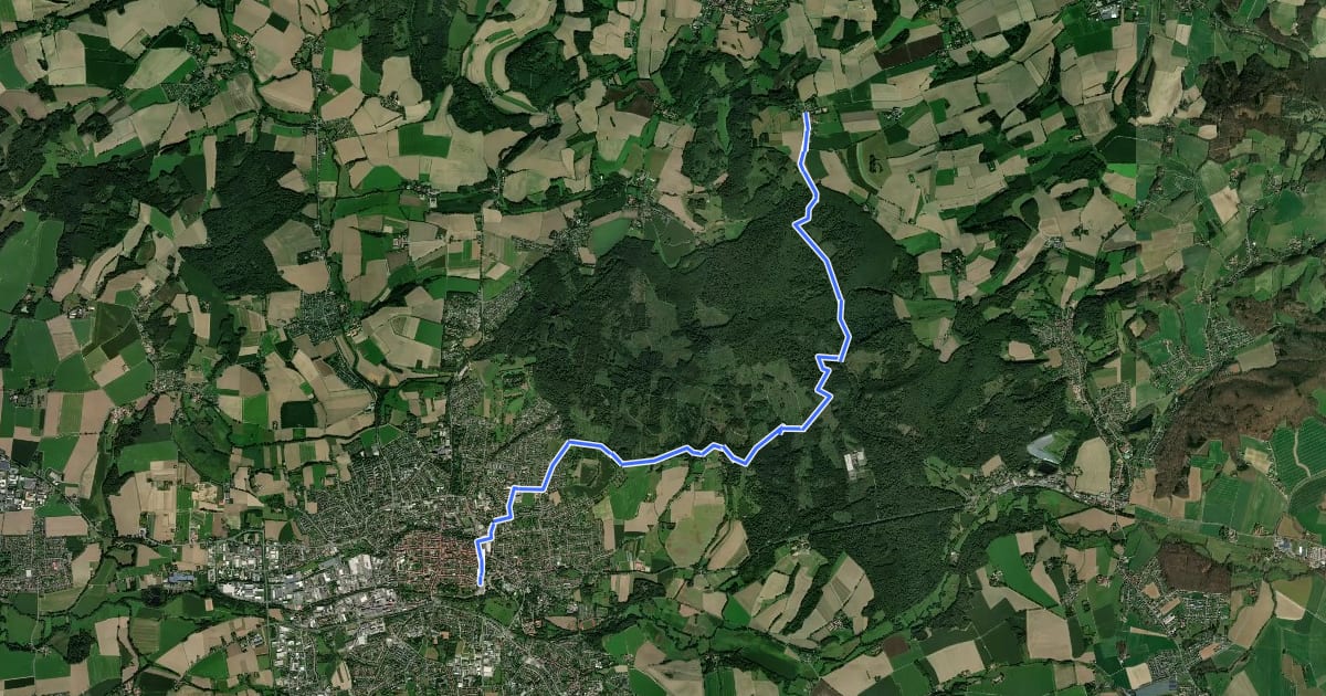 Маршрут Niedermeinerweg на спутниковом снимке