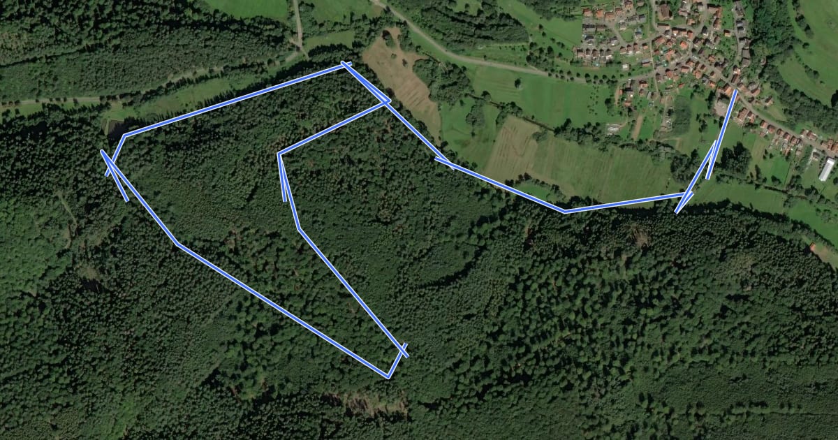 Маршрут Niederschlettenbach 3 - Ins Litschbachtal на спутниковом снимке