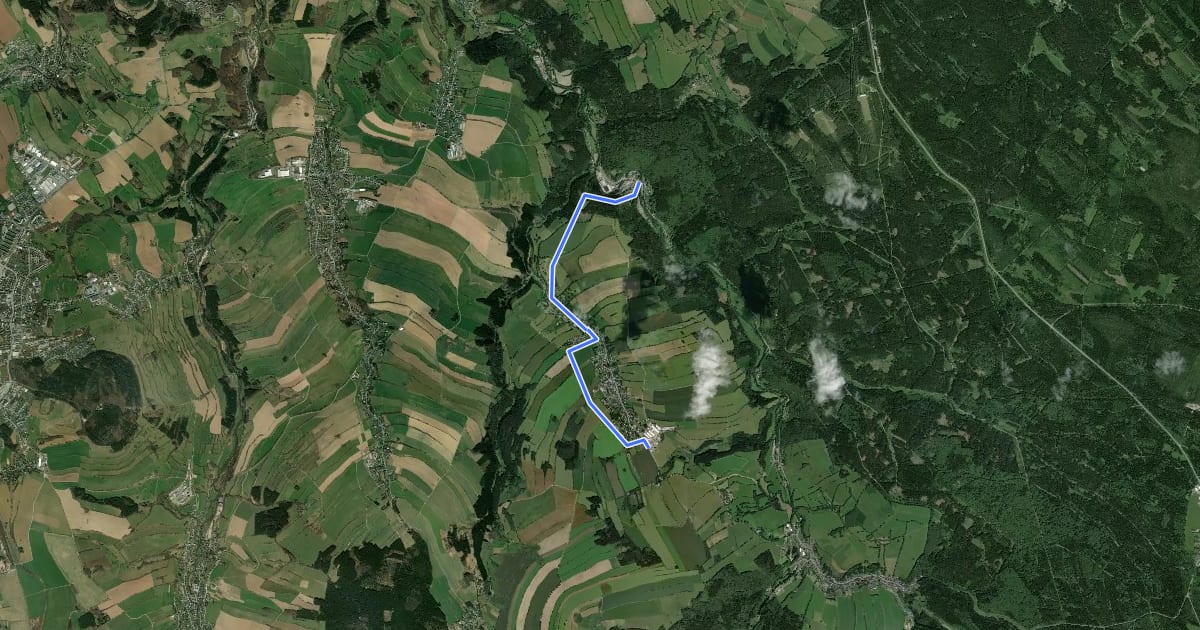 Маршрут Niederschmiedeberg-Arnsfeld на спутниковом снимке