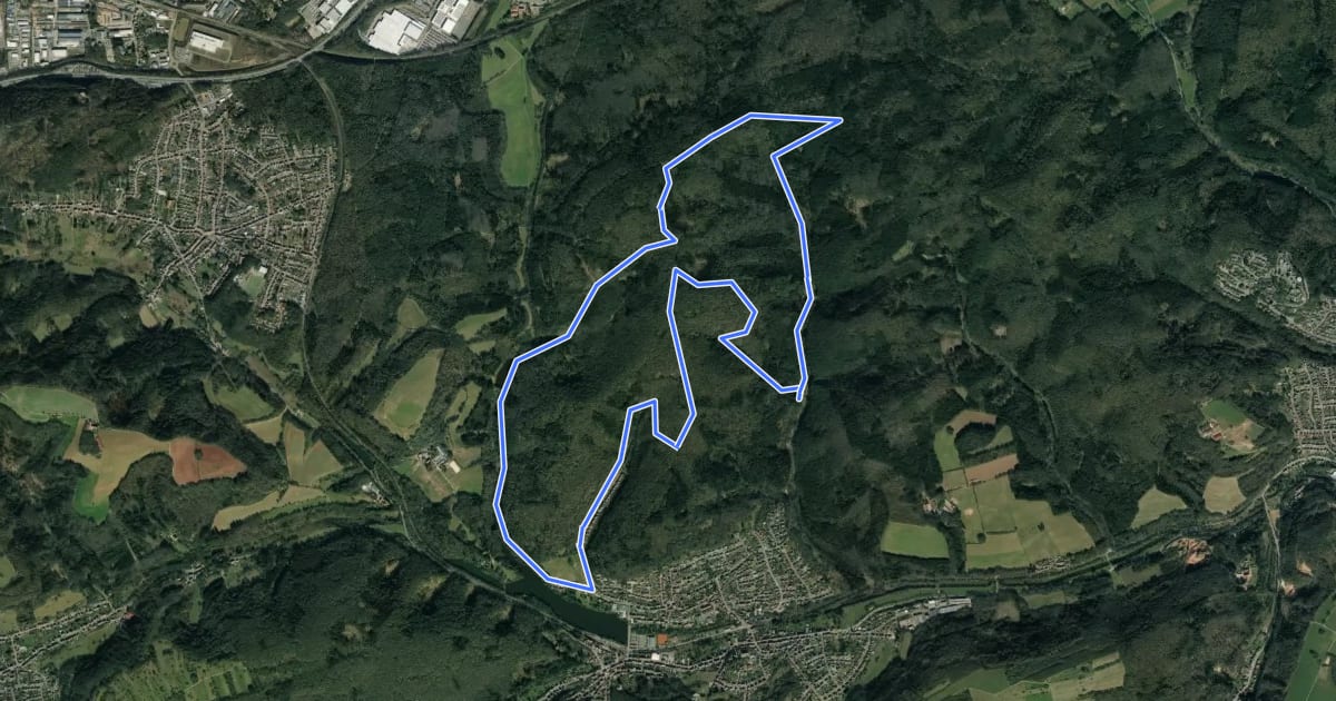 Маршрут Niederwürzbacher-Weiher-Tour на спутниковом снимке