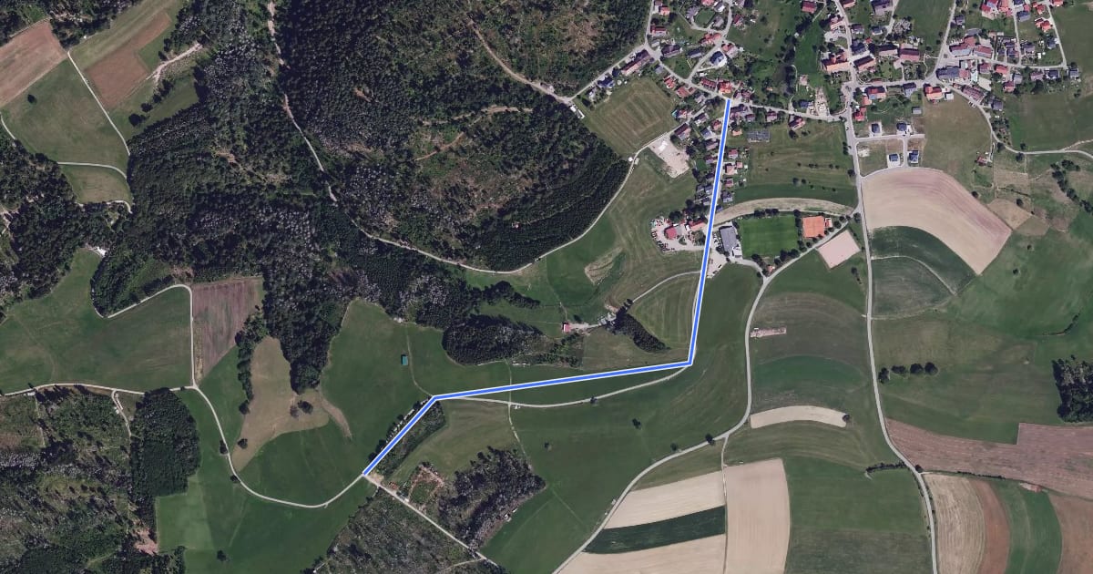 Маршрут Niederwies - Wolfbachweg на спутниковом снимке