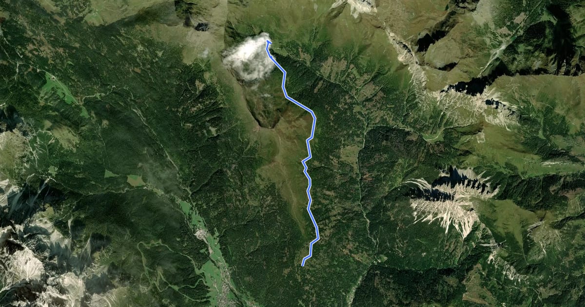 Маршрут Nik Trail на спутниковом снимке