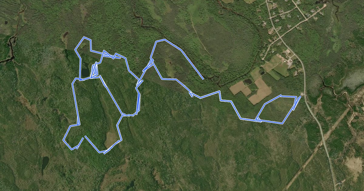 Маршрут Nine Mile River Trails на спутниковом снимке