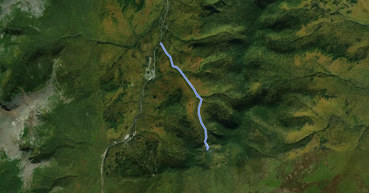 Маршрут Nineteen Mile Brook на спутниковом снимке
