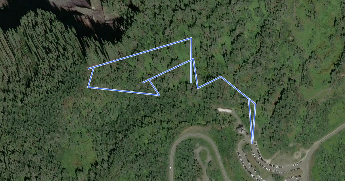 Маршрут Nisqually Vista Trail на спутниковом снимке