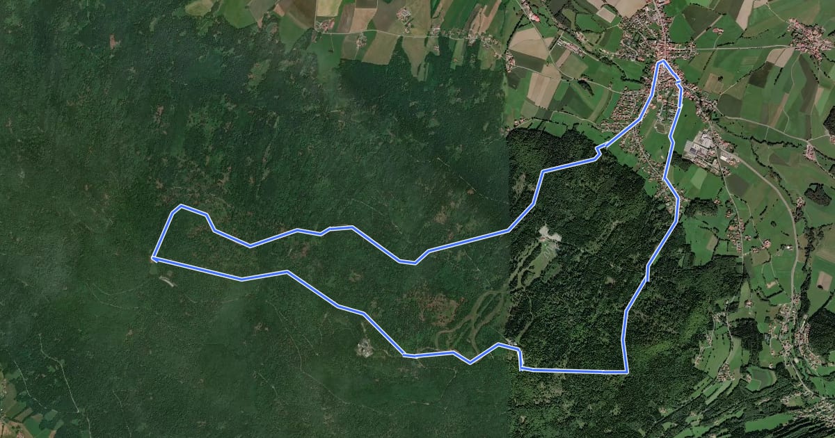 Маршрут Nk03 Hohenbogen-Touristenweg на спутниковом снимке