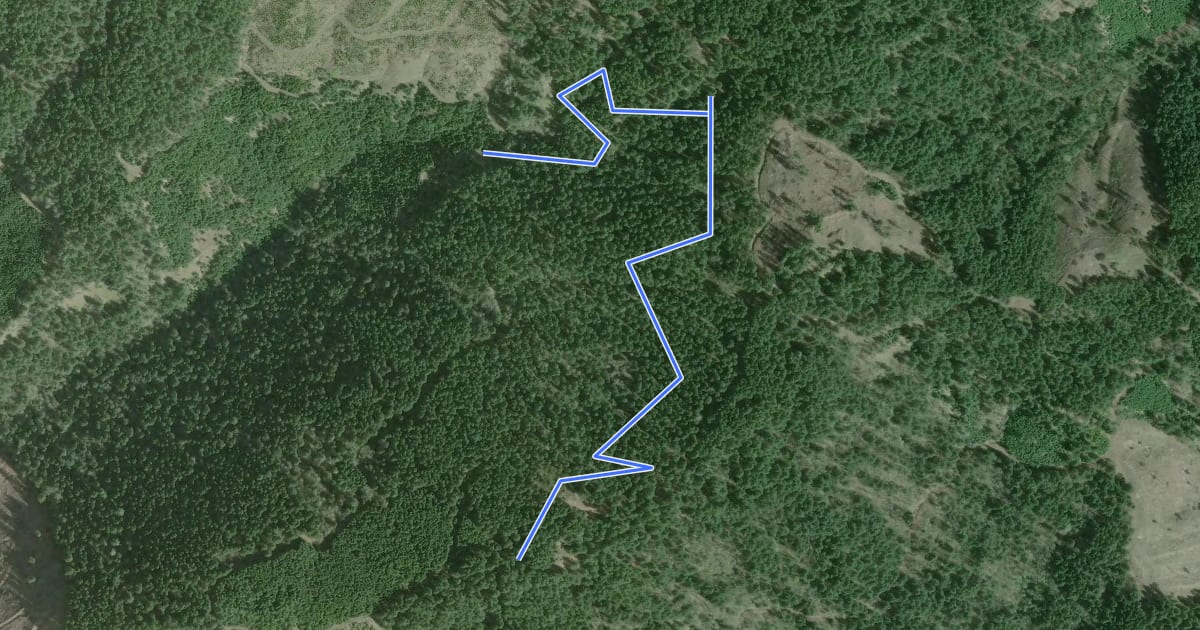 Маршрут No Secret Trail на спутниковом снимке