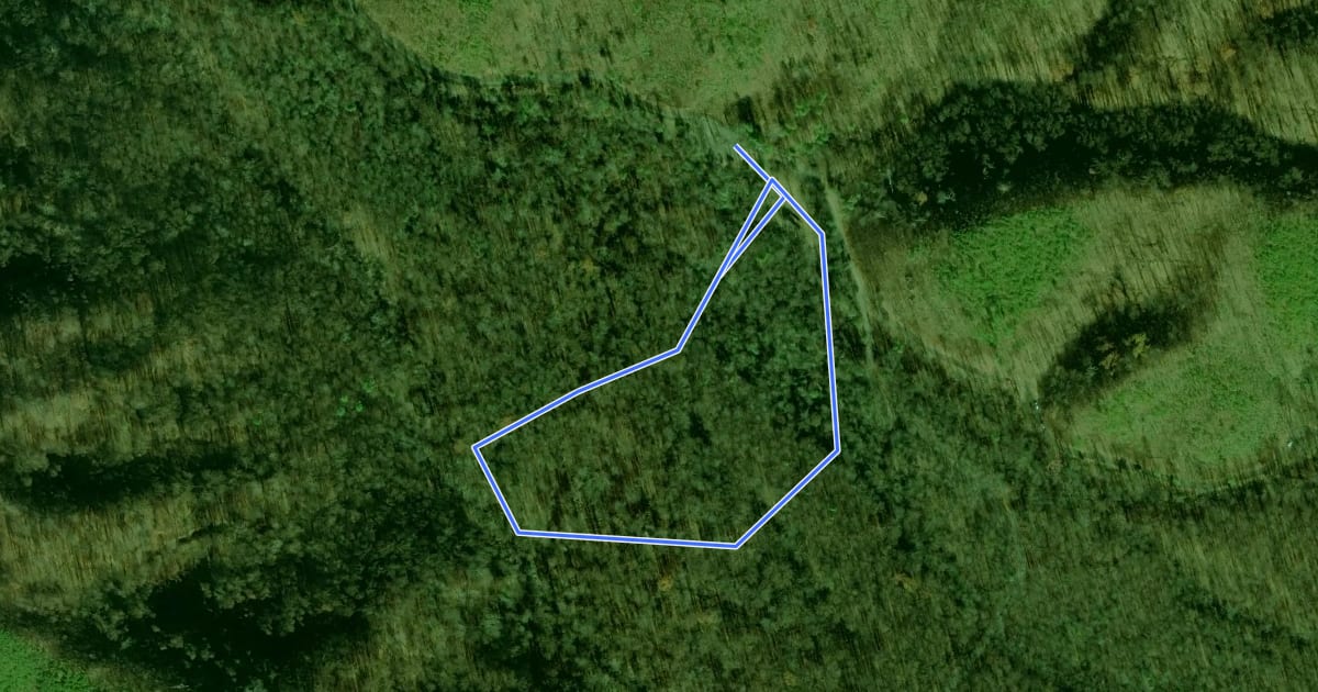 Маршрут Noah 'Bud' Ogle Place Nature Trail на спутниковом снимке