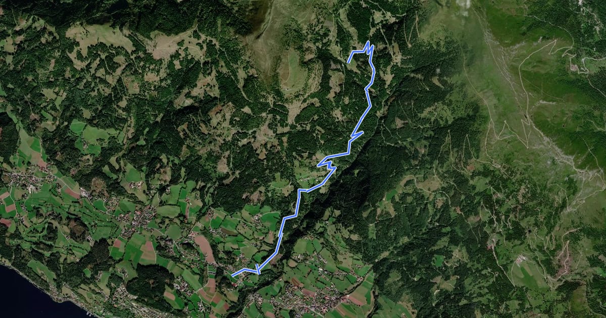 Маршрут Nockbike Millstätter Hometrail на спутниковом снимке