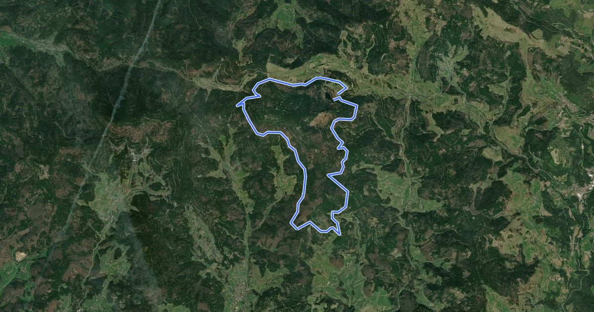 Маршрут Nonnenmattweiher Loipe на спутниковом снимке