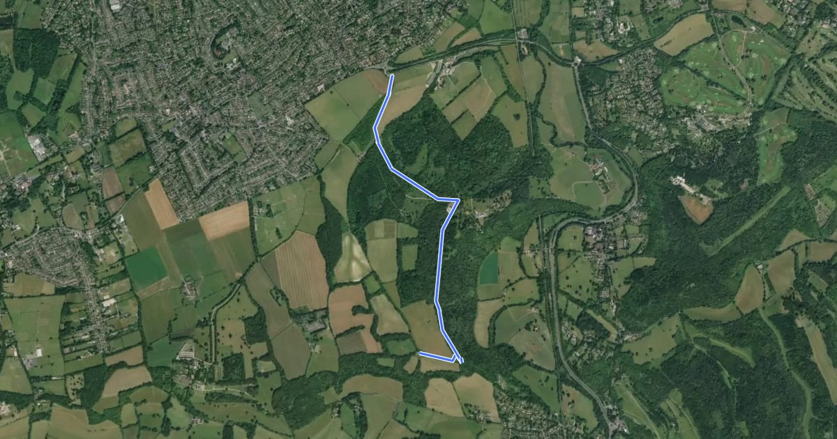 Маршрут Norbury Park Off Road Cycle & Walk (SCC) на спутниковом снимке
