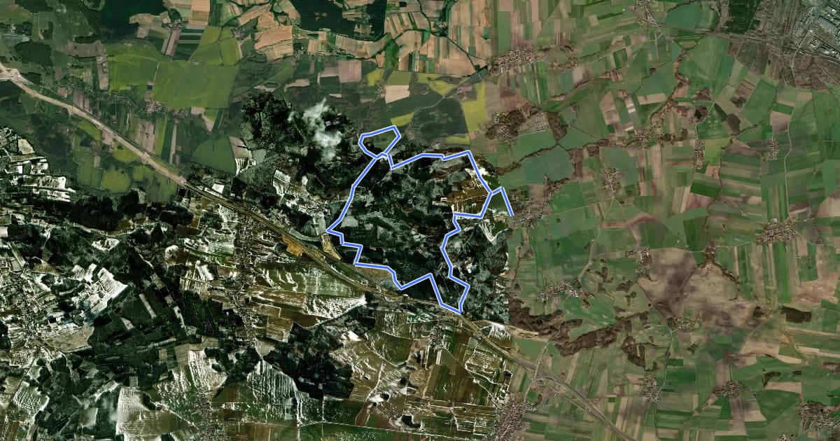 Маршрут Nordic Park Dalków - czerwony на спутниковом снимке