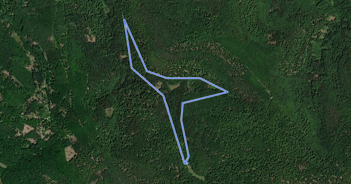 Маршрут Nordic Walking 1 Blau Laufach на спутниковом снимке