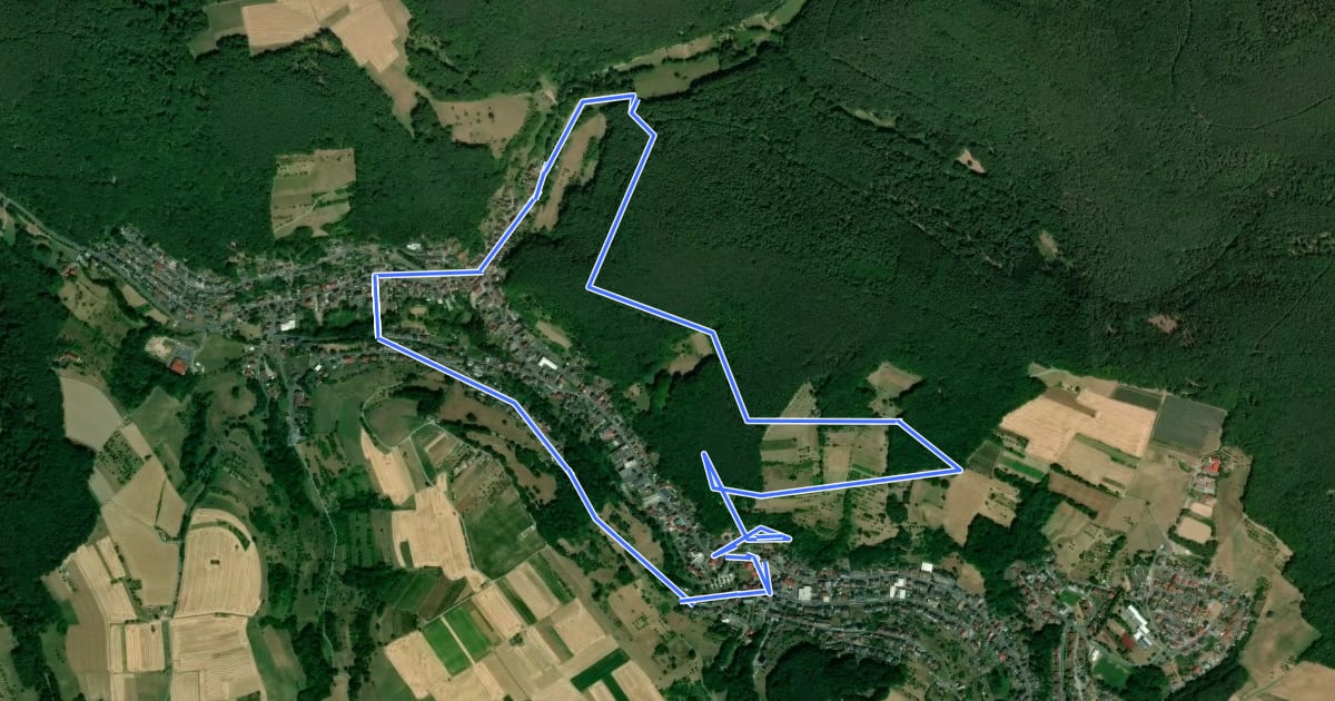 Маршрут Nordic Walking 1 Blau Leidersbach на спутниковом снимке