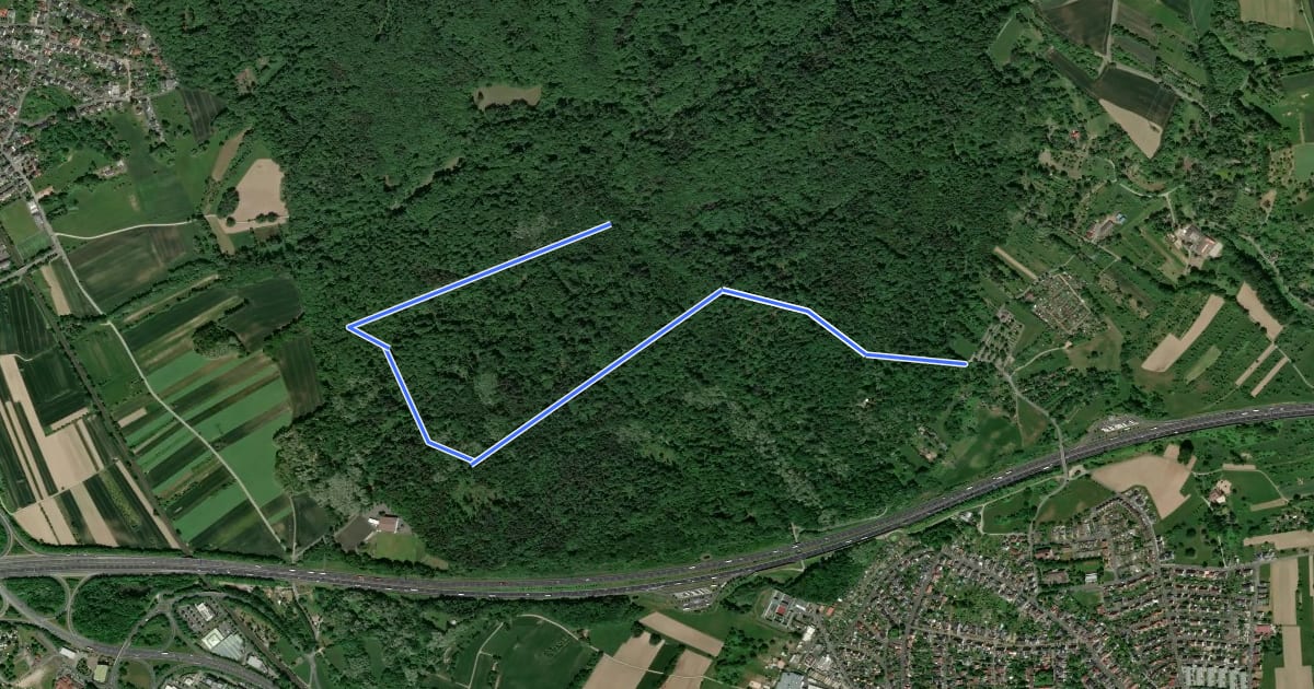Маршрут Nordic Walking 1 Blau Strietwald на спутниковом снимке