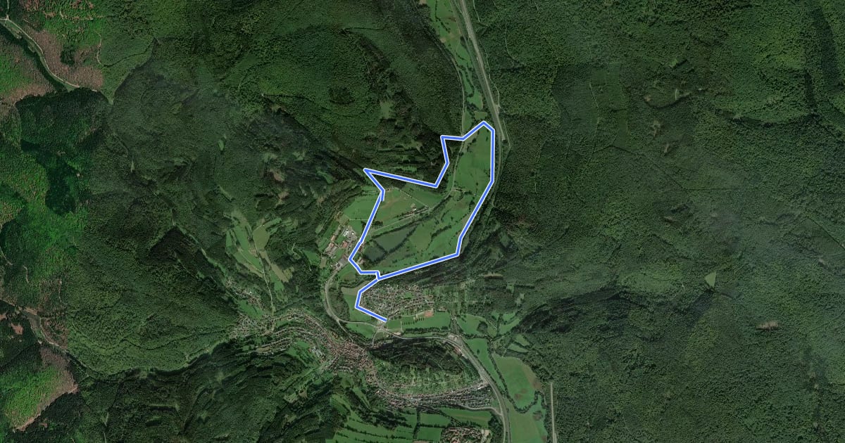 Маршрут Nordic Walking 1 Rieneck на спутниковом снимке