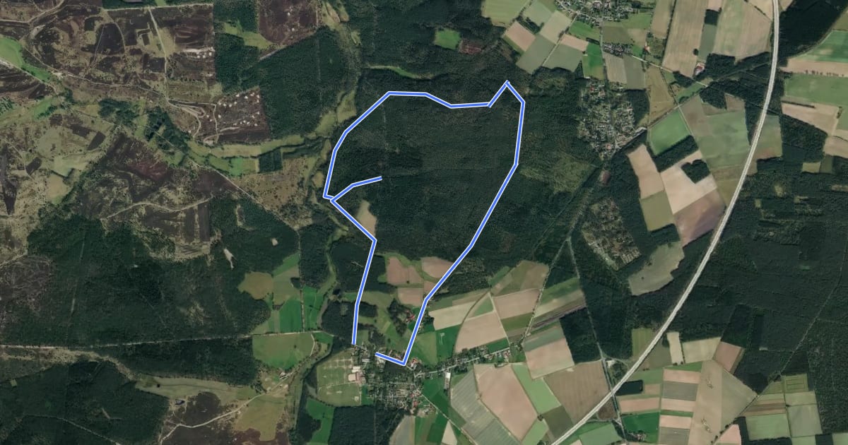 Маршрут Nordic Walking 12M Egestorf на спутниковом снимке