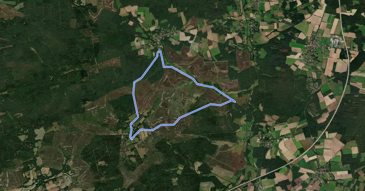 Маршрут Nordic Walking 13M Undeloh на спутниковом снимке
