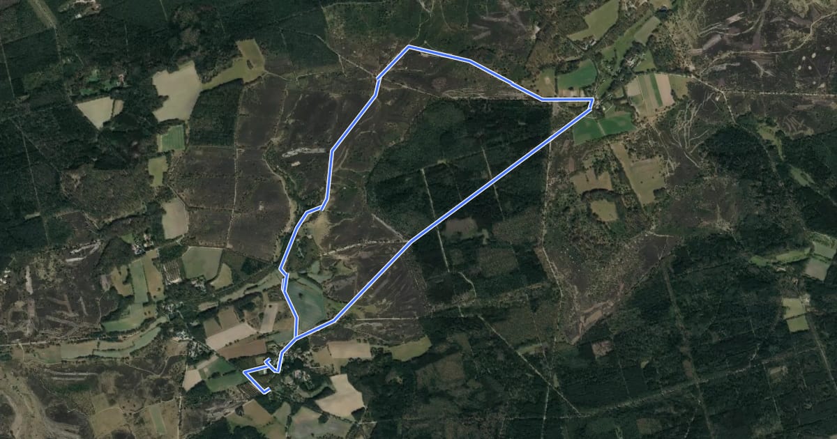 Маршрут Nordic Walking 18M Bispingen на спутниковом снимке