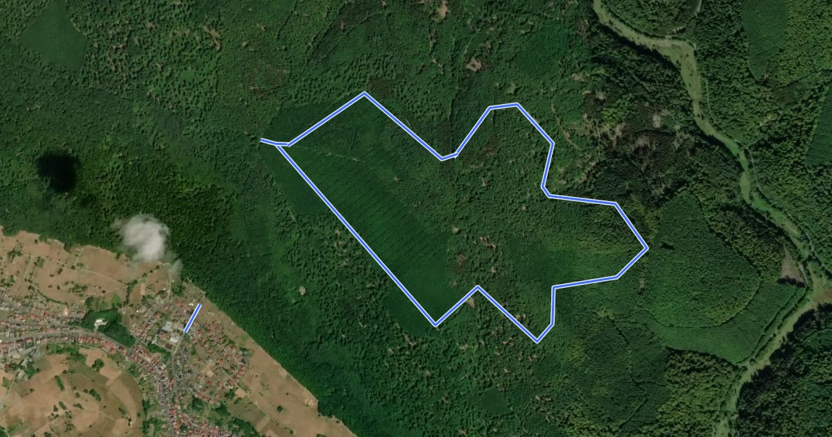 Маршрут Nordic Walking 2 Gelb Weibersbrunn на спутниковом снимке