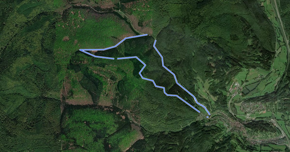 Маршрут Nordic Walking 2 Rieneck на спутниковом снимке