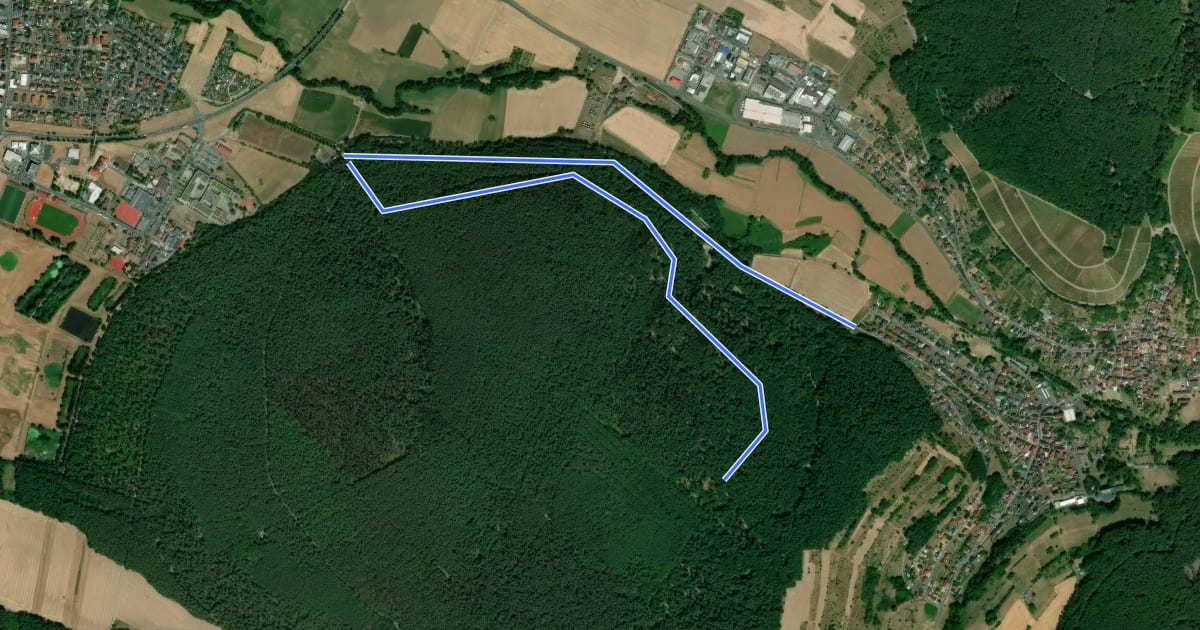 Маршрут Nordic Walking 2 rot Elsenfeld на спутниковом снимке