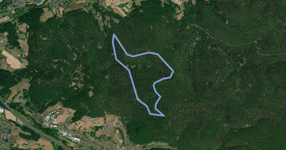 Маршрут Nordic Walking 2 Rot Laufach на спутниковом снимке