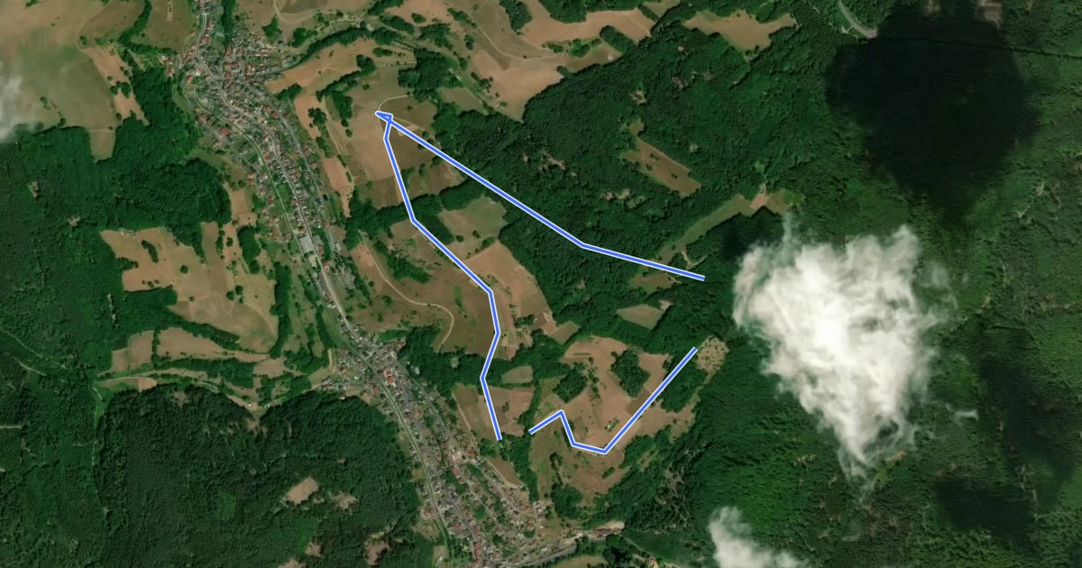 Маршрут Nordic Walking 2 Rot Mespelbrunn на спутниковом снимке