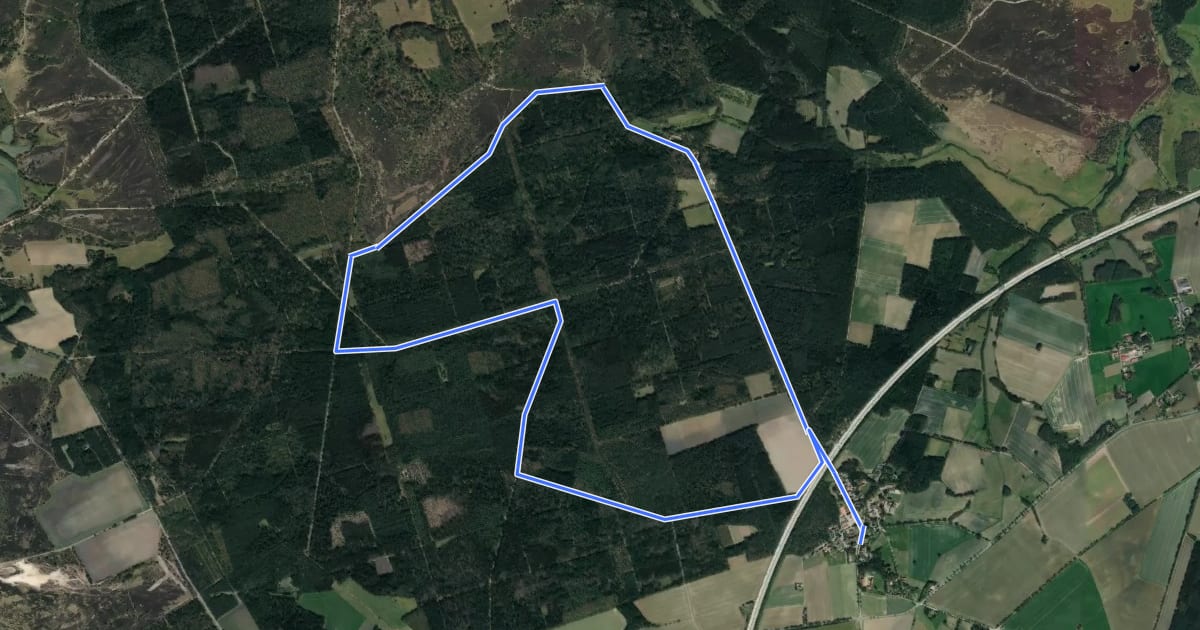 Маршрут Nordic Walking 20M Bispingen на спутниковом снимке