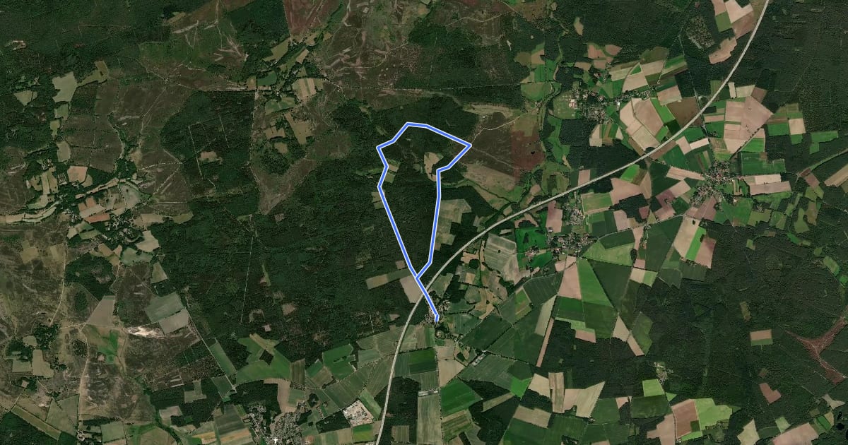 Маршрут Nordic Walking 21L Bispingen на спутниковом снимке