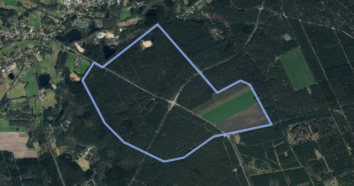 Маршрут Nordic Walking 26L Bispingen на спутниковом снимке