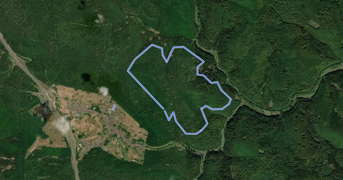 Маршрут Nordic Walking 3 Lila Weibersbrunn на спутниковом снимке