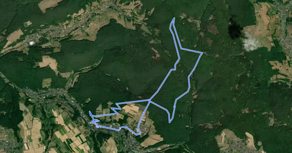 Маршрут Nordic Walking 3 Schwarz Leidersbach на спутниковом снимке