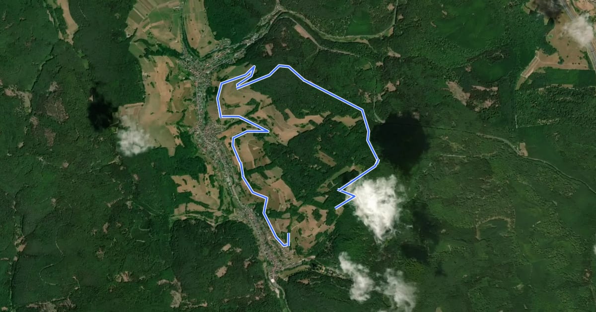 Маршрут Nordic Walking 3 Schwarz Mespelbrunn на спутниковом снимке