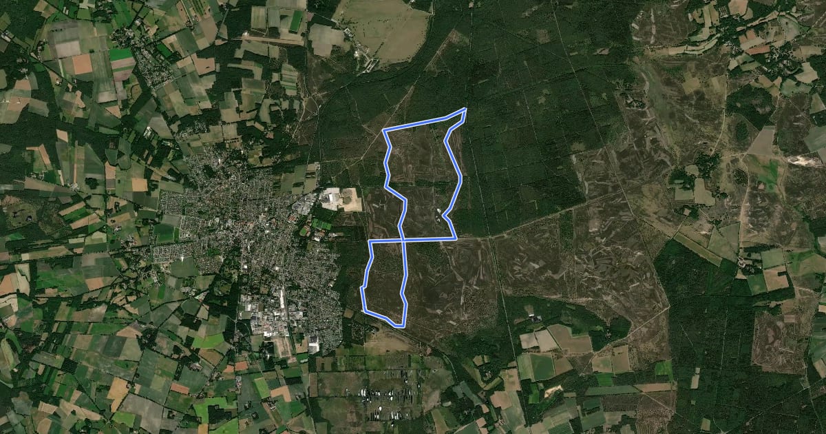 Маршрут Nordic Walking 34M Schneverdingen на спутниковом снимке